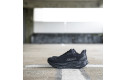 Thumbnail of hoka-arahi-81_683019.jpg