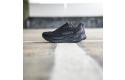 Thumbnail of hoka-arahi-81_683020.jpg