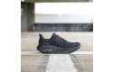 Thumbnail of hoka-arahi-81_683024.jpg