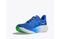 Thumbnail of hoka-arahi-88_810698.jpg