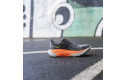 Thumbnail of hoka-arahi-8_694167.jpg