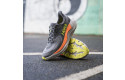 Thumbnail of hoka-arahi-8_694171.jpg
