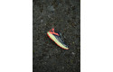 Thumbnail of hoka-zinal-3_838785.jpg