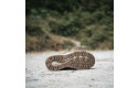 Thumbnail of meindl-menorca-lady-mid-gtx_694096.jpg