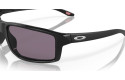 Thumbnail of oakley-gibston1_812329.jpg