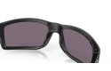 Thumbnail of oakley-gibston1_812330.jpg