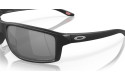 Thumbnail of oakley-gibston_812317.jpg