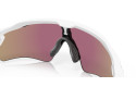 Thumbnail of oakley-radar-ev-path2_812490.jpg