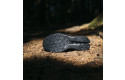 Thumbnail of on-cloudsurfer-trail-2-wp-black_691282.jpg
