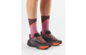Thumbnail of salomon-genesis-21_844575.jpg