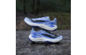 Thumbnail of salomon-genesis2_788358.jpg