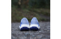Thumbnail of salomon-genesis2_788360.jpg