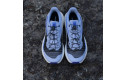 Thumbnail of salomon-genesis2_788369.jpg