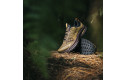 Thumbnail of saucony-ride-tr2_684669.jpg