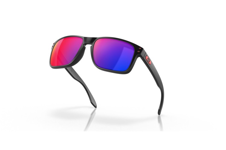 Oakley Holbrook