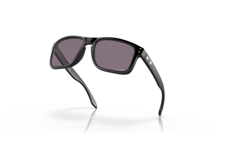 Oakley Holbrook
